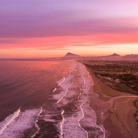 Masdevallia By On Travel * 올리바